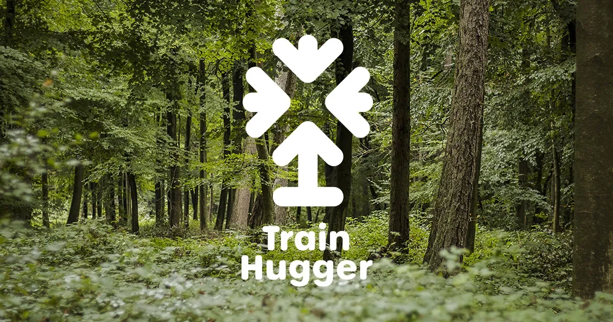 Train Hugger